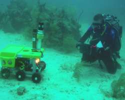 Anderson got a severe wound during his underwater mission named NEEMO 5. His thumb was cut with a knife and required stitches which were made by a han